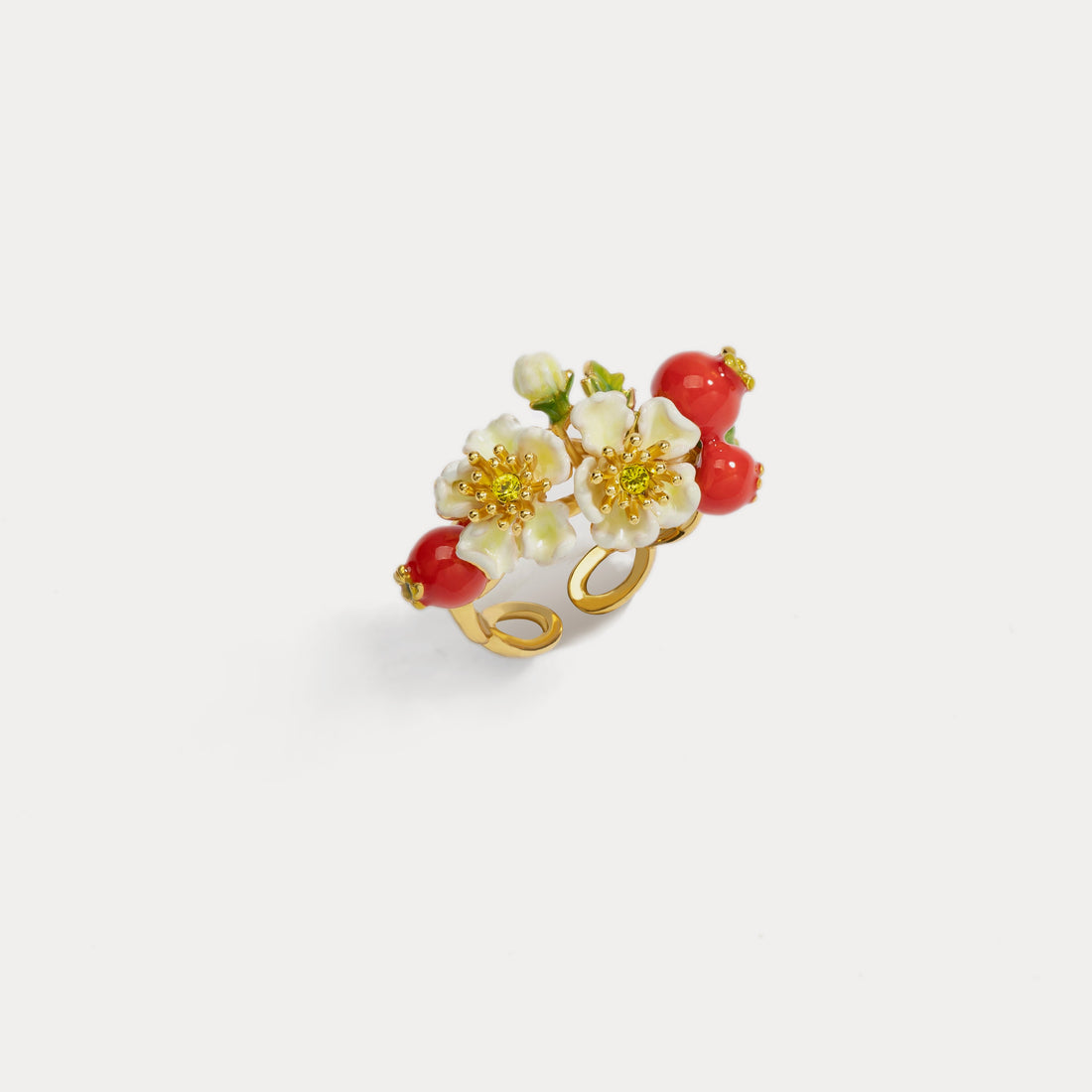 Anello di fiori di mirtillo rosso