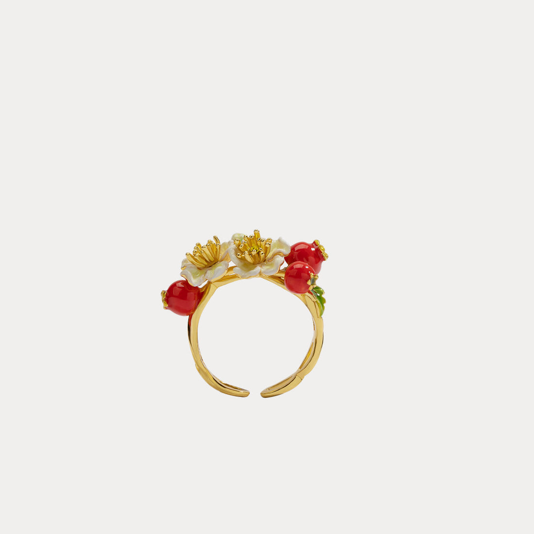 Anello di fiori di mirtillo rosso